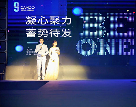 凝心聚力 蓄势待发 丹马士环球物流2019年会盛典