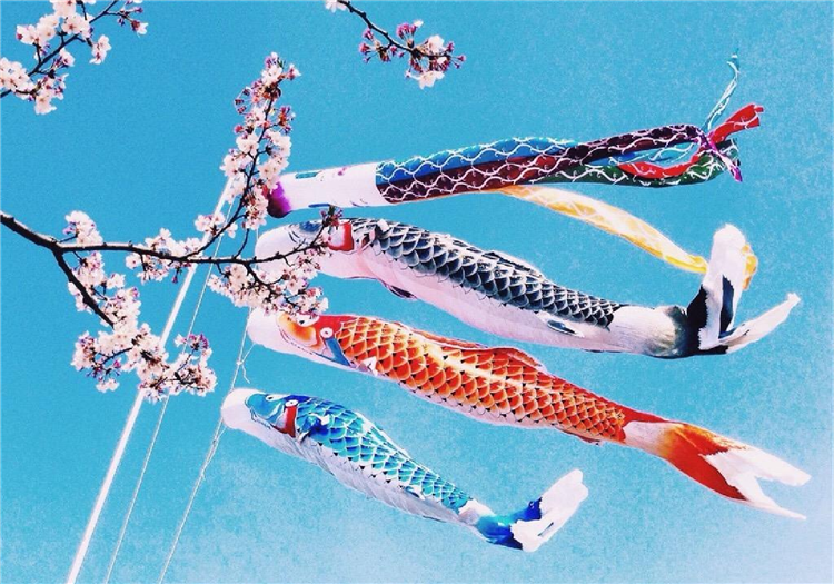 324d91f451dcd606fbe02ea4b81310d.png 324d91f451dcd606fbe02ea4b81310d.png